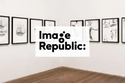 CRM, Sage, BI, Custom Web Image Repuclic