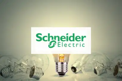 CRM, Salesforce, International, Training SCHNEIDER ELECTRIC