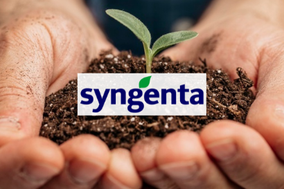 CRM, Pivotal, Formation, International SYNGENTA